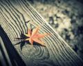lonely_and_alone_by_jyoujo