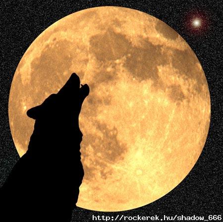 Wolf-Moon