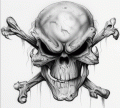 1001skull