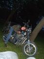Born to be WILD!