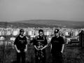 Kings of the concrete jungle