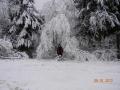 At the Heart of winter-Szkelyfld verzi