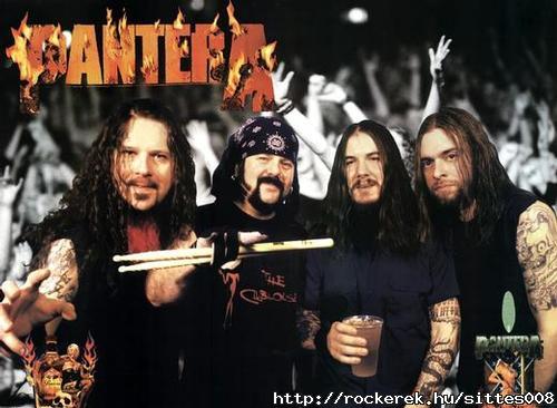 pantera2