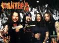 pantera2