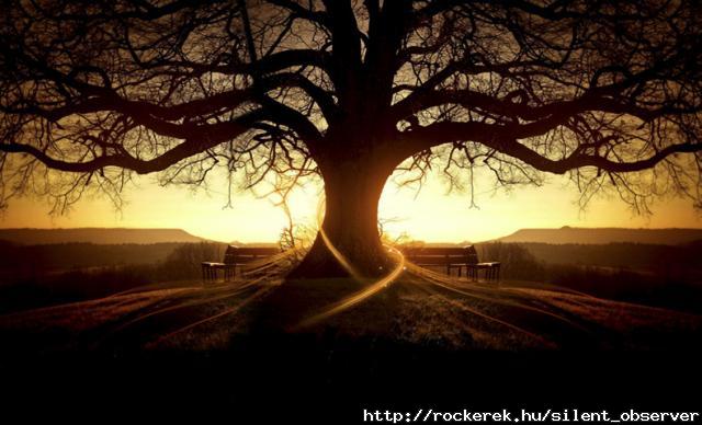 in days of wonder