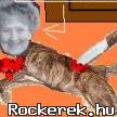 Lenkennifejdglttrtvjler