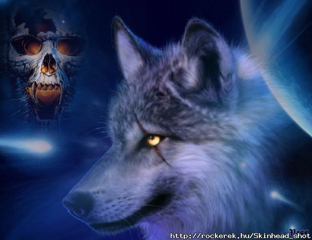 wolf_9