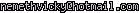 msn