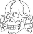 skull1