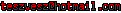 msn