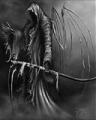 DarkReaper