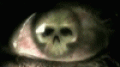 Eye