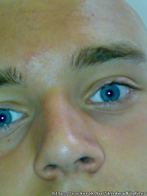 20080529176