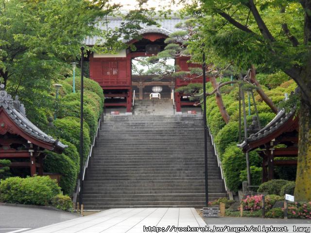 DSCN0383