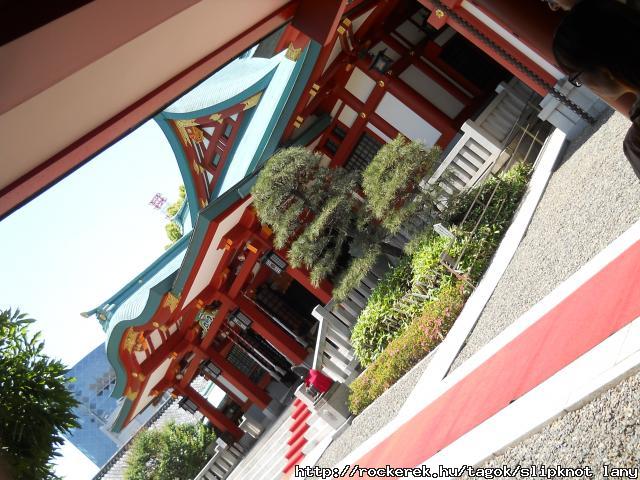 DSCN0566