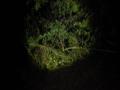 IMG_20140621_221601