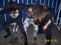 Headbanger tri