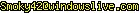 msn