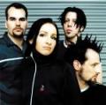 Guano apes