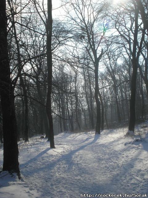 P1010129