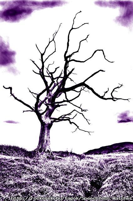 Untutored