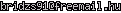 msn