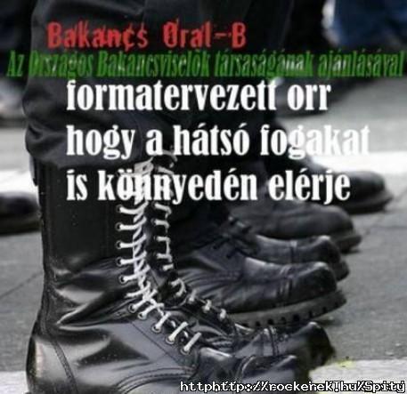 Vglis ennyi a trtnet