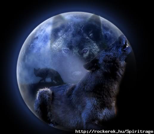 Night of the wolf