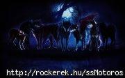 185444_511149995577585_1469020028_a