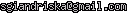msn