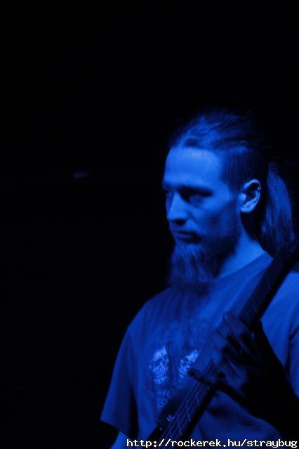 Vadvirg 2011