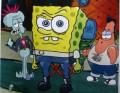 sponge_skin
