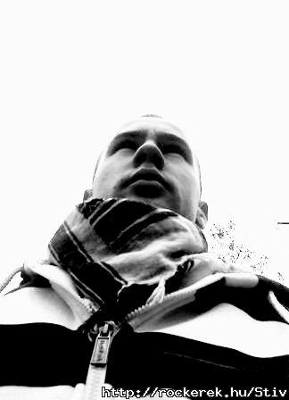 PitBull