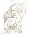 scan0002