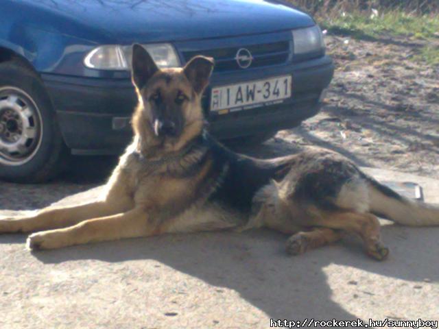 20100223183