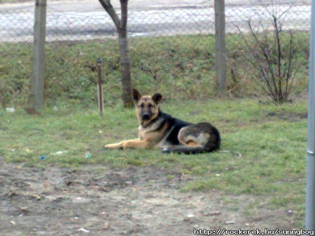 20100222180