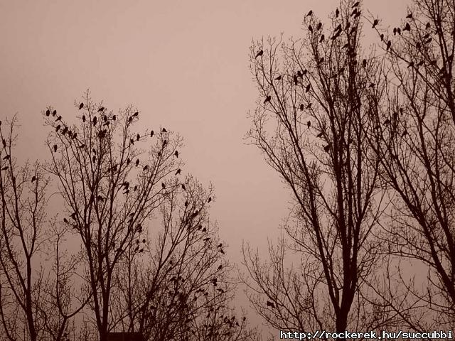 a kedvenc kpem:)