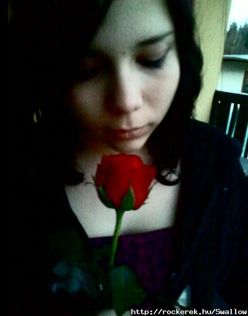 rose