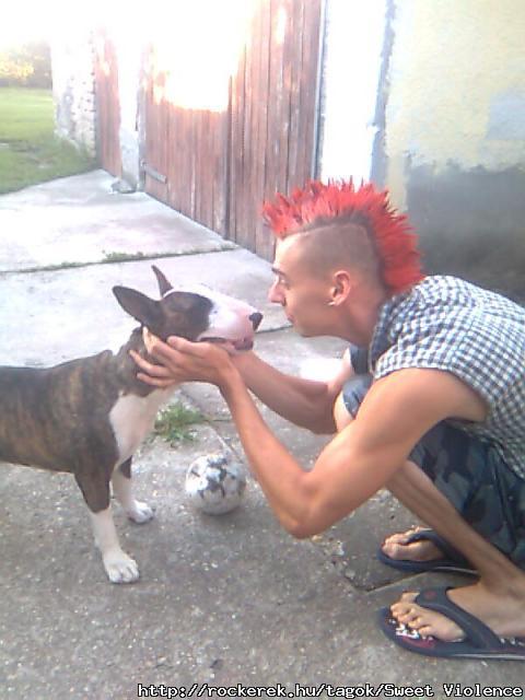 drgim (L)