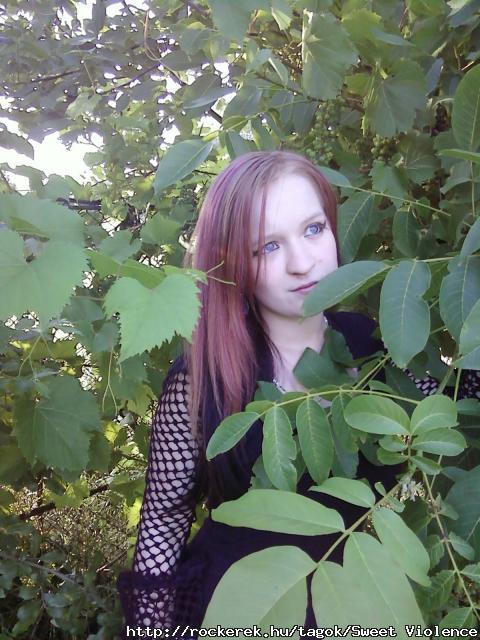 pic_o54_47