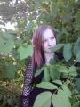 pic_o54_47