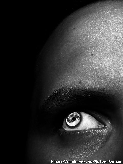 Silver eye. (Reflection of the Moon)