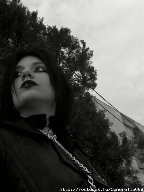 20101220(026)-001