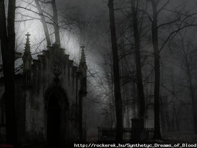 cemetery in the forest
