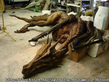 dragon fossil