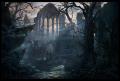 Druid`s Forest