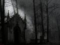 cemetery in the forest