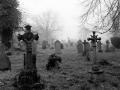 Cemetery