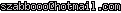 msn