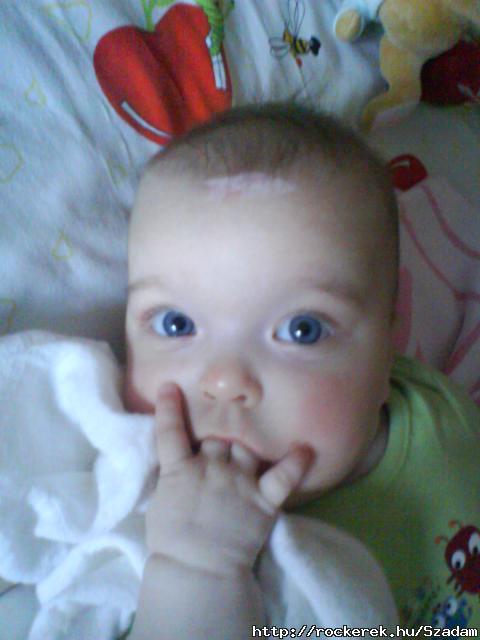A kislnyom